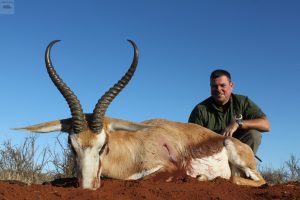 Kalahari Springbok del autor